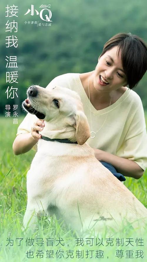 布洛姆菲尔德学院文凭毕业证怎么购买